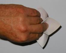 lc 
fingers