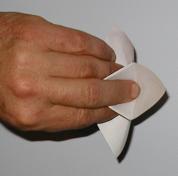 lc finger 
2