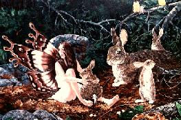 Fairy sitting in glade with a bunny.