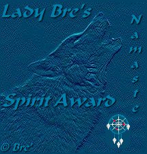 spirit award10